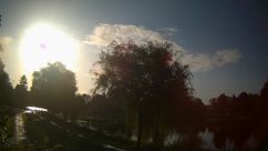 Rosarium Webcam