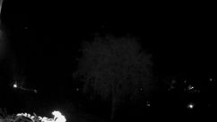 Rosarium Webcam
