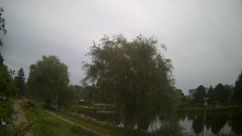 Rosarium Webcam