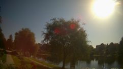 Rosarium Webcam