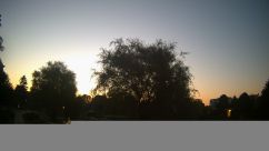 Rosarium Webcam