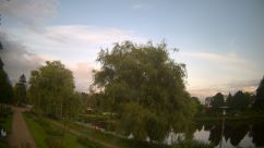 Rosarium Webcam