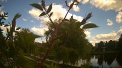 Rosarium Webcam
