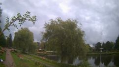 Rosarium Webcam