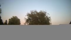 Rosarium Webcam