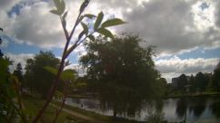 Rosarium Webcam