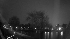 Rosarium Webcam