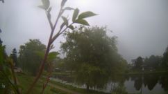 Rosarium Webcam