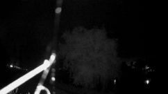 Rosarium Webcam