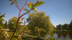 Rosarium Webcam
