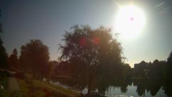 Rosarium Webcam