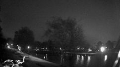 Rosarium Webcam