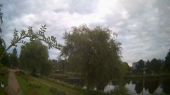 Rosarium Webcam