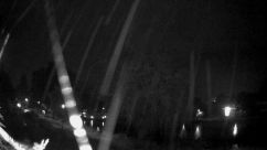 Rosarium Webcam