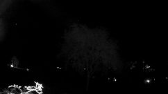 Rosarium Webcam