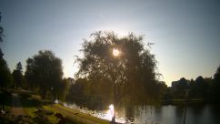 Rosarium Webcam