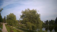 Rosarium Webcam