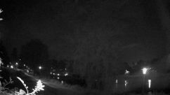 Rosarium Webcam