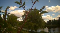 Rosarium Webcam