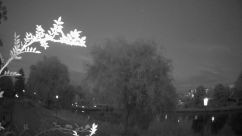 Rosarium Webcam