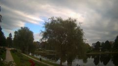 Rosarium Webcam