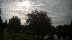 Rosarium Webcam