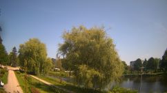 Rosarium Webcam