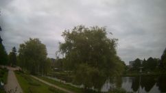 Rosarium Webcam