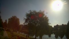 Rosarium Webcam