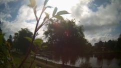Rosarium Webcam