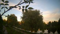 Rosarium Webcam