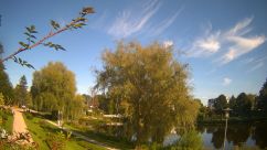 Rosarium Webcam