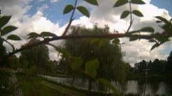 Rosarium Webcam