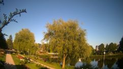 Rosarium Webcam