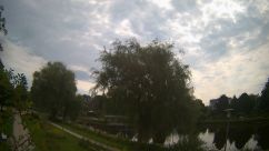 Rosarium Webcam