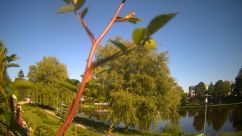Rosarium Webcam