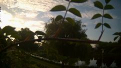 Rosarium Webcam