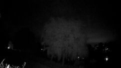 Rosarium Webcam