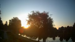 Rosarium Webcam