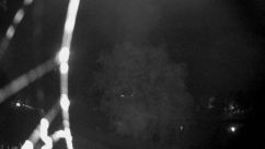 Rosarium Webcam