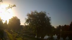 Rosarium Webcam