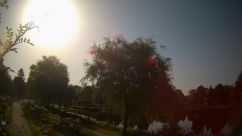 Rosarium Webcam
