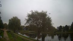 Rosarium Webcam