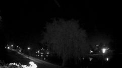 Rosarium Webcam