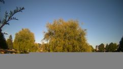 Rosarium Webcam