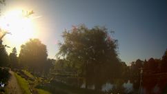 Rosarium Webcam