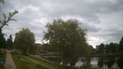 Rosarium Webcam