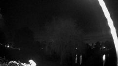 Rosarium Webcam