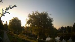 Rosarium Webcam