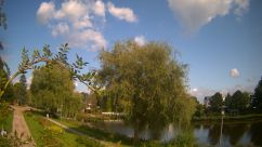 Rosarium Webcam